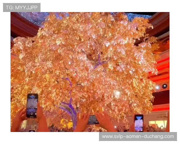 永利澳门发财树的种植环境选择与最佳养护时间介绍 永利澳门发财树的种植环境选择与最佳养护时间介绍