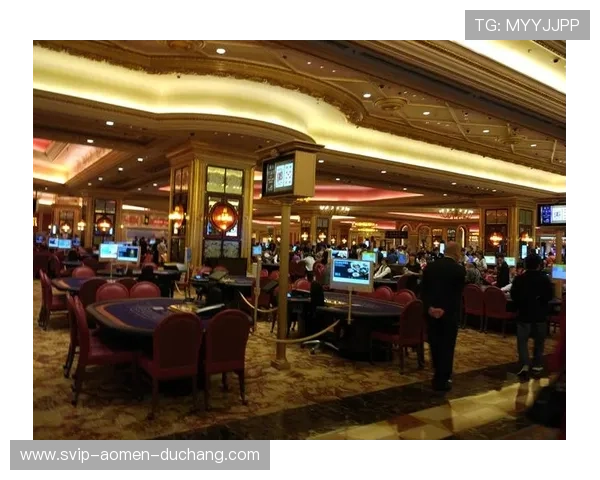 澳门十大顶级赌场的特色设施与豪华环境全景介绍