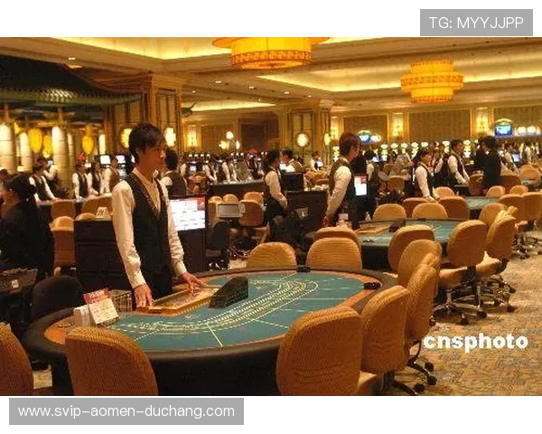 澳门赌场年龄统计趋势：近年来不同年龄段玩家数量的变化及未来预测