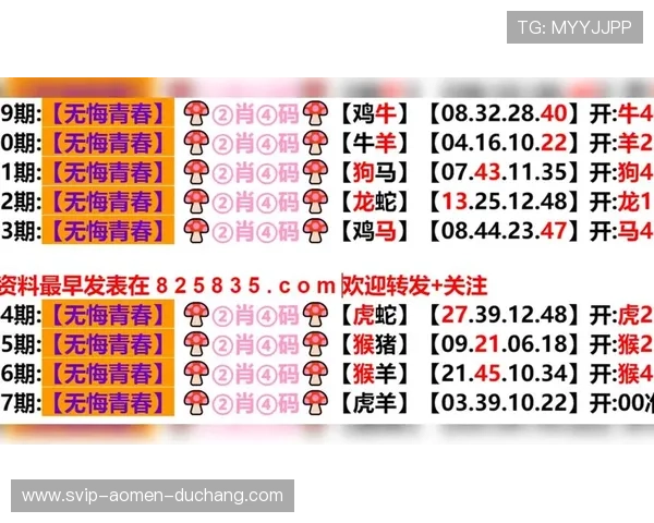 2024今晚澳门开特马开奖预测技巧,专家推荐提高中奖几率的方法