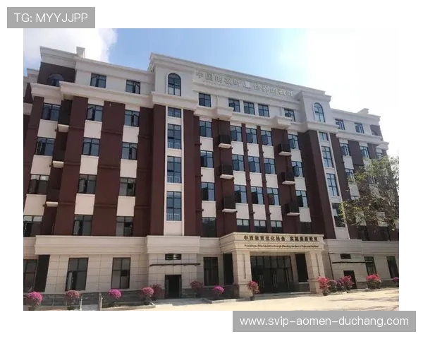 七星真人国际推进合法化发展策略，成为国际娱乐行业的领军者