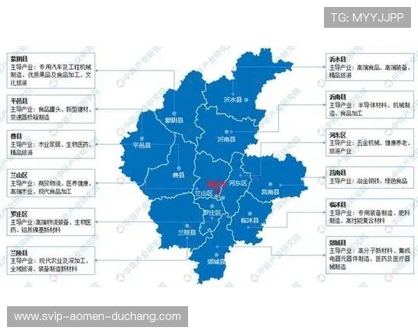 东方娱乐市场分析：观众偏好变化与产业布局策略