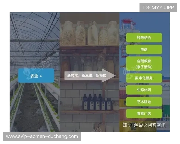 最新PA视讯登录界面更新指南，帮你迅速适应平台最新使用流程
